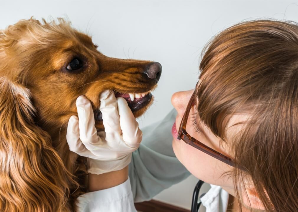 Maintain a regular dental care routine